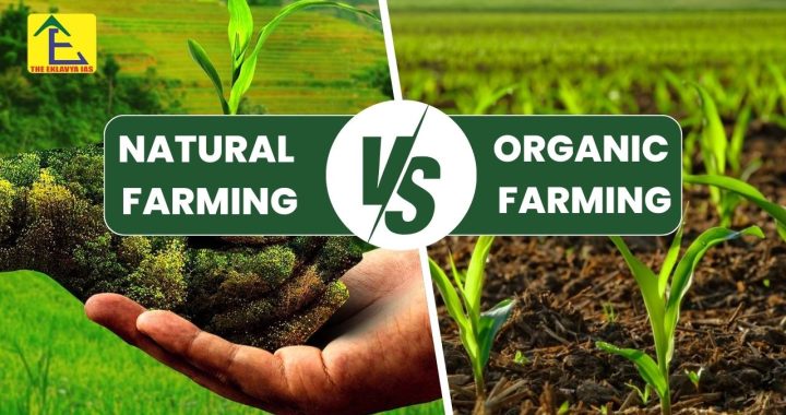 Natural Farming vs Organic Farming