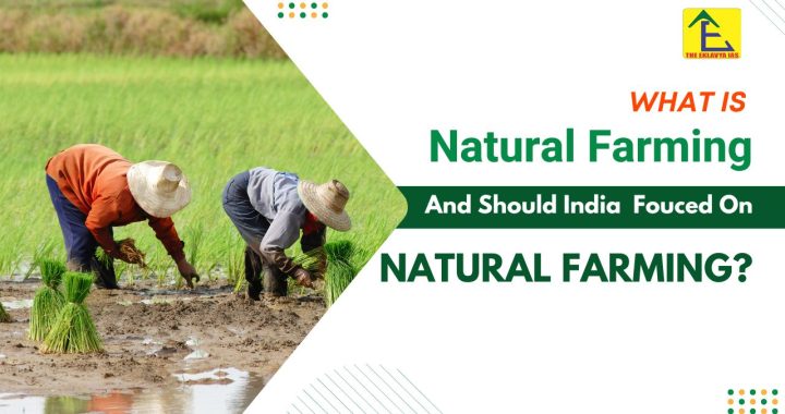 What_is_Natural_Farming_and_Should_India_Focus_on_Natural_Farming